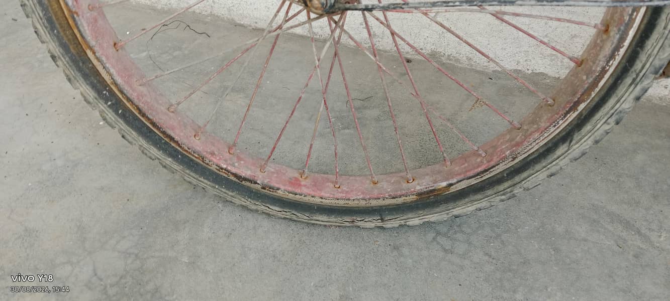 cycle normal conditions 6