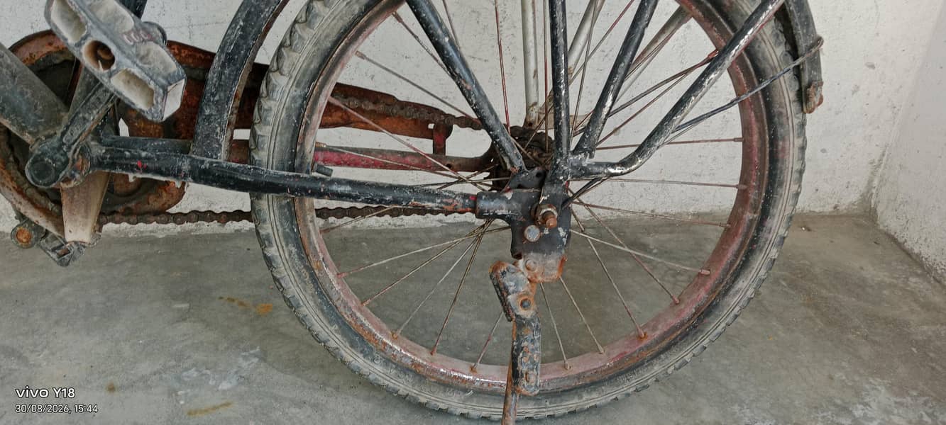 cycle normal conditions 7
