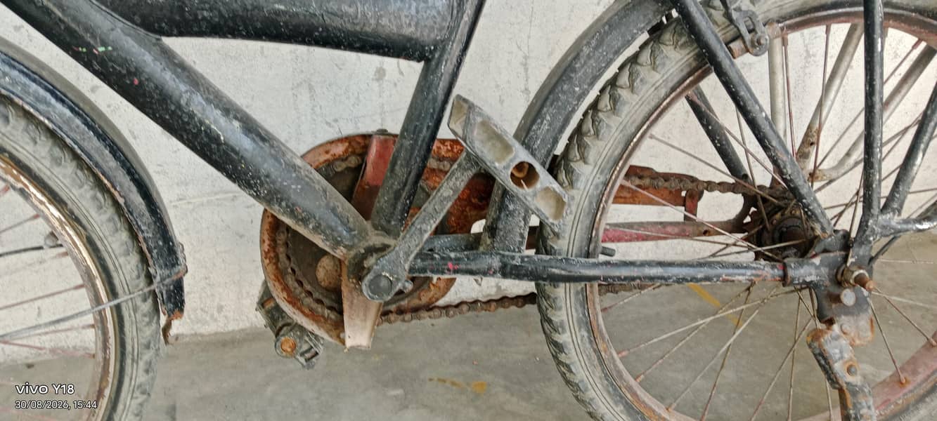 cycle normal conditions 10