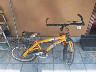 Bicycle for sale