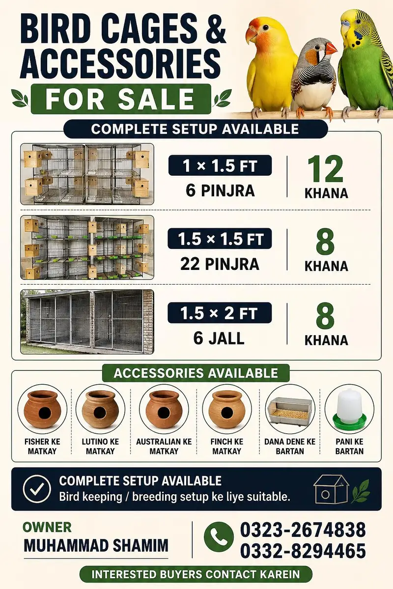 Bird Cages & Accessories For Sale – Complete Setup