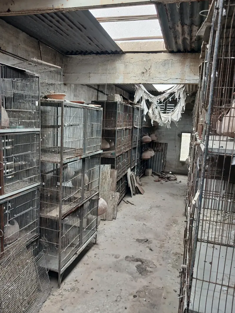 Bird Cages & Accessories For Sale – Complete Setup — photo 2