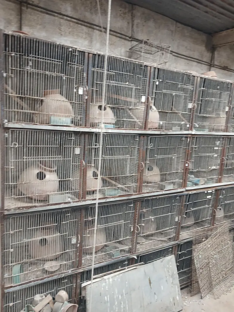 Bird Cages & Accessories For Sale – Complete Setup — photo 3