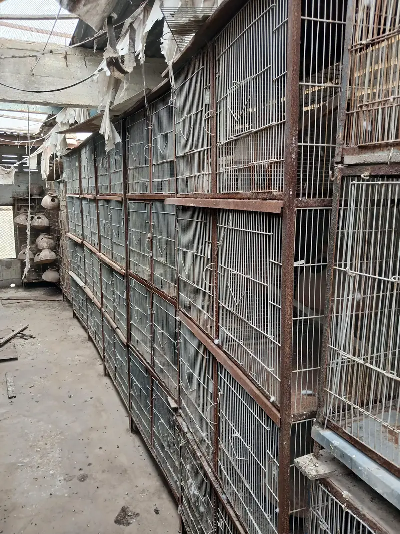 Bird Cages & Accessories For Sale – Complete Setup — photo 4