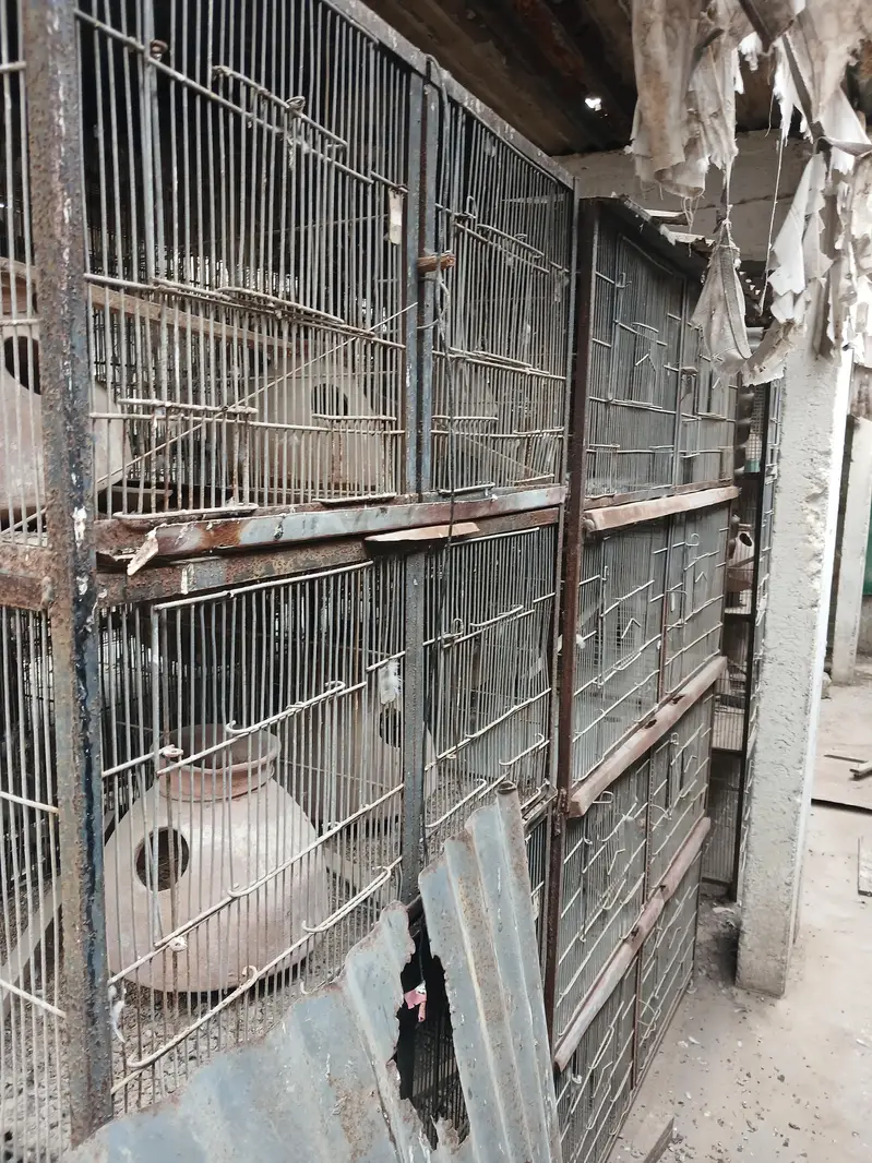 Bird Cages & Accessories For Sale – Complete Setup — photo 5