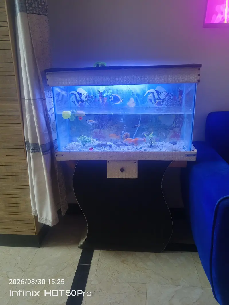 fish Equairium with fishes