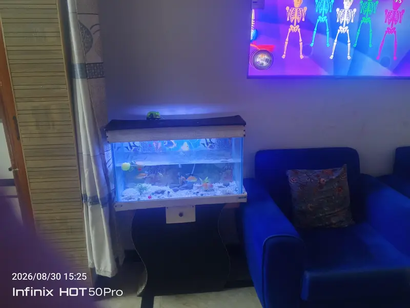 fish Equairium with fishes — photo 2