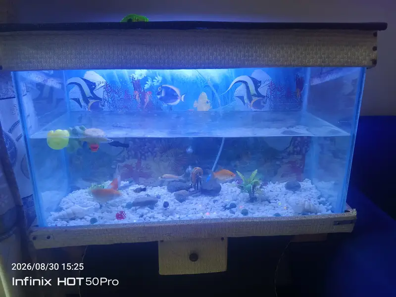 fish Equairium with fishes — photo 3