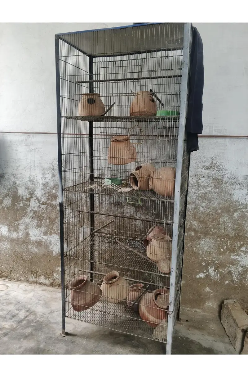 Heavy Duty Multi-Tier Bird Cage / Breeding Cage For Sale/-12000 — photo 2