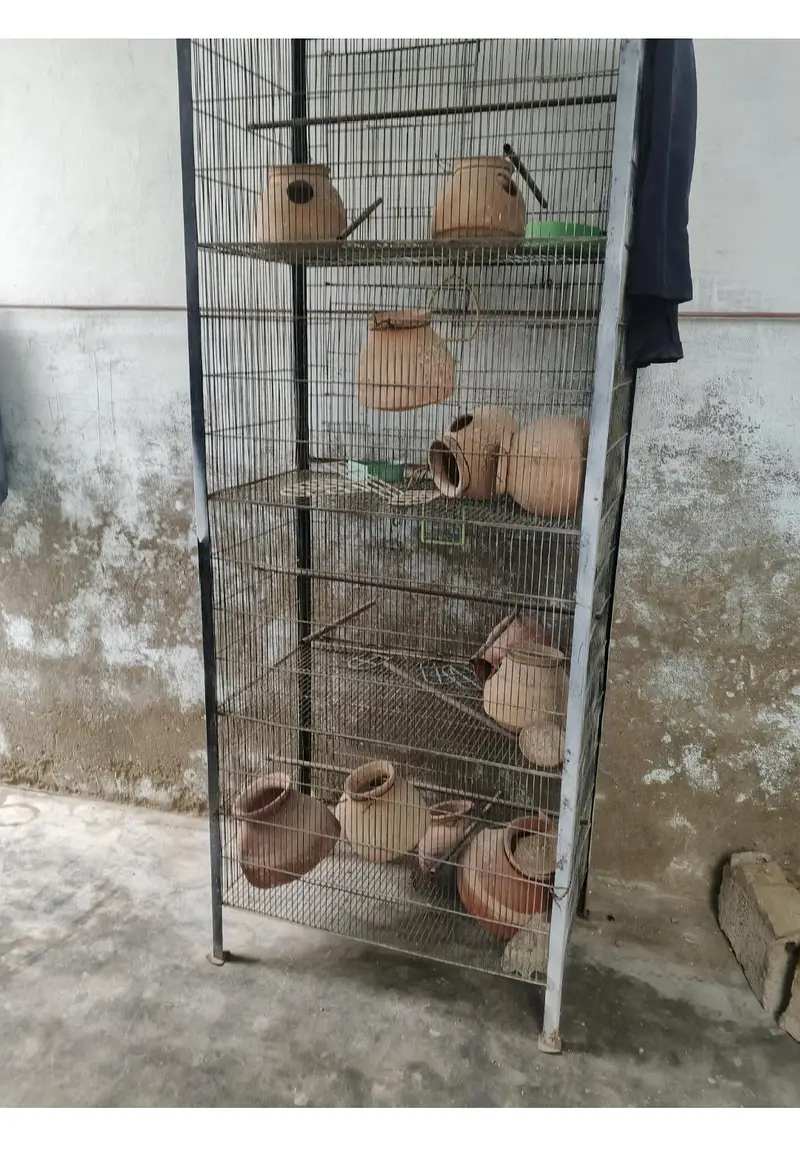 Heavy Duty Multi-Tier Bird Cage / Breeding Cage For Sale/-12000 — photo 3