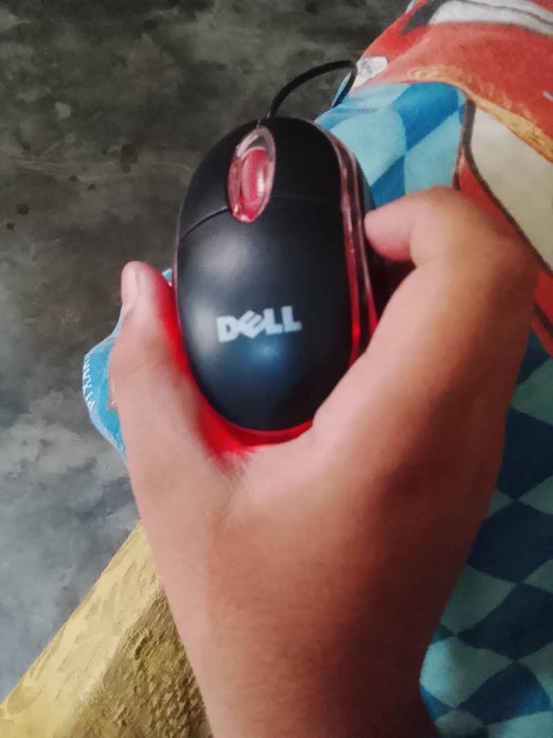 mouse rgp lights 2
