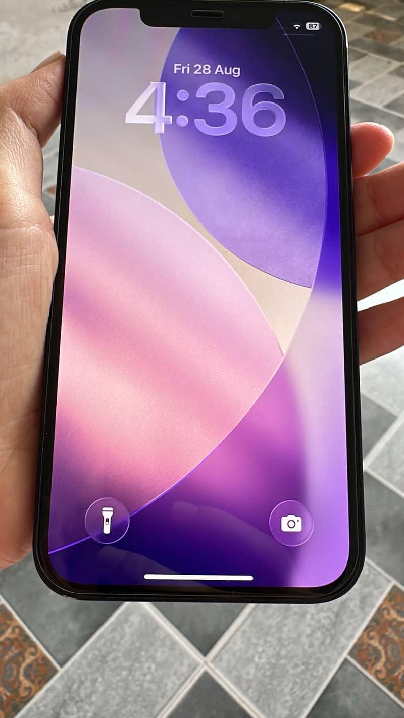 Apple iPhone 12 1