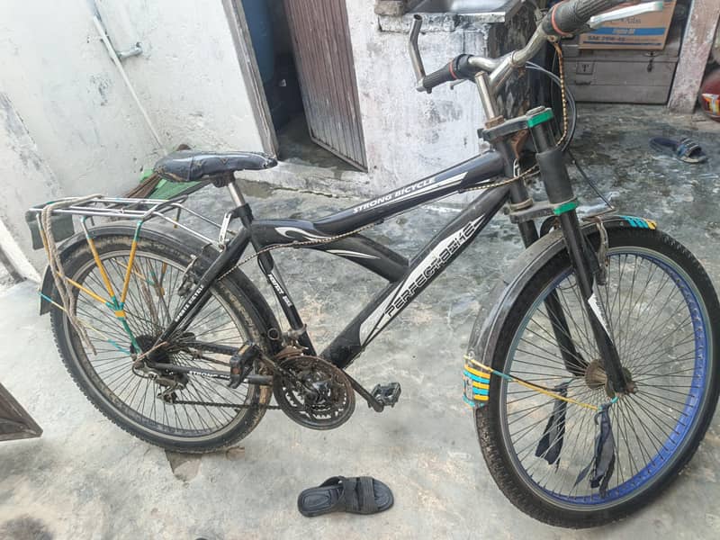 strong bicycle 0
