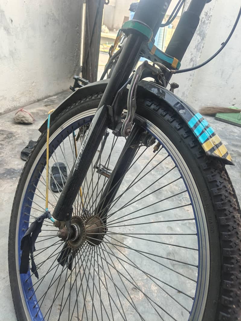 strong bicycle 1
