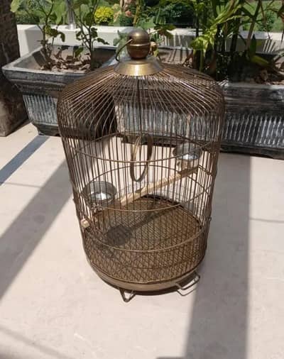 Cages for parrots