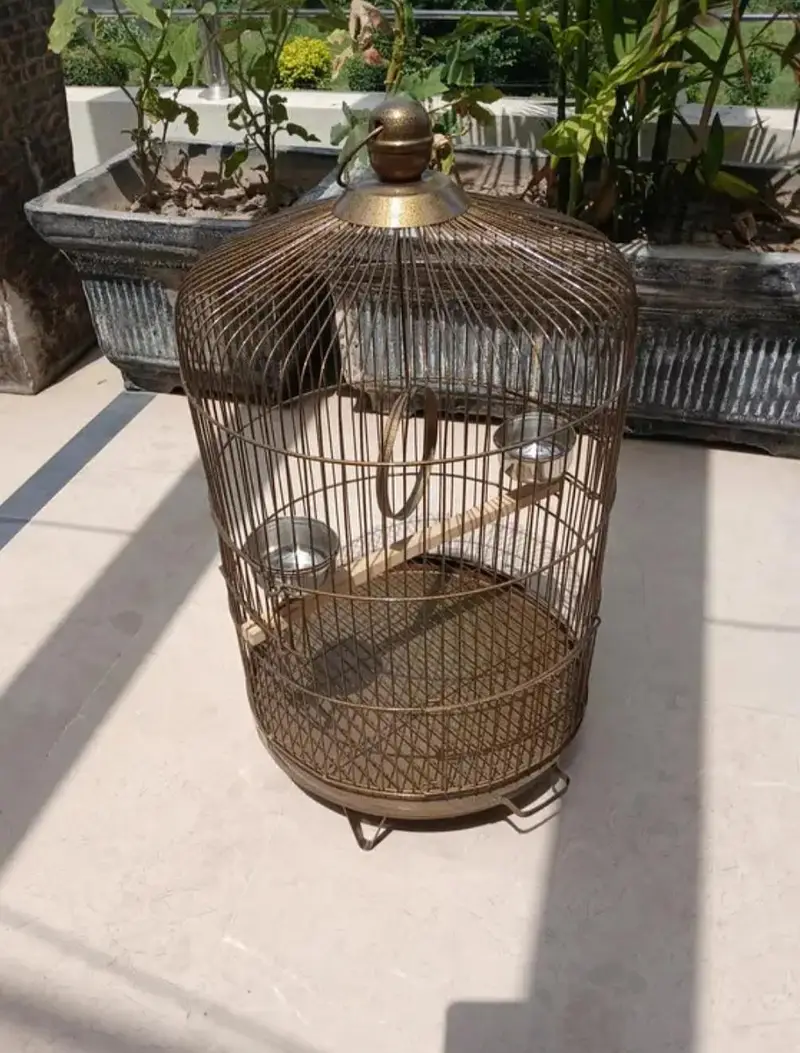 Cages for parrots — photo 2
