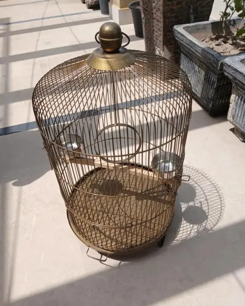 Cages for parrots — photo 3