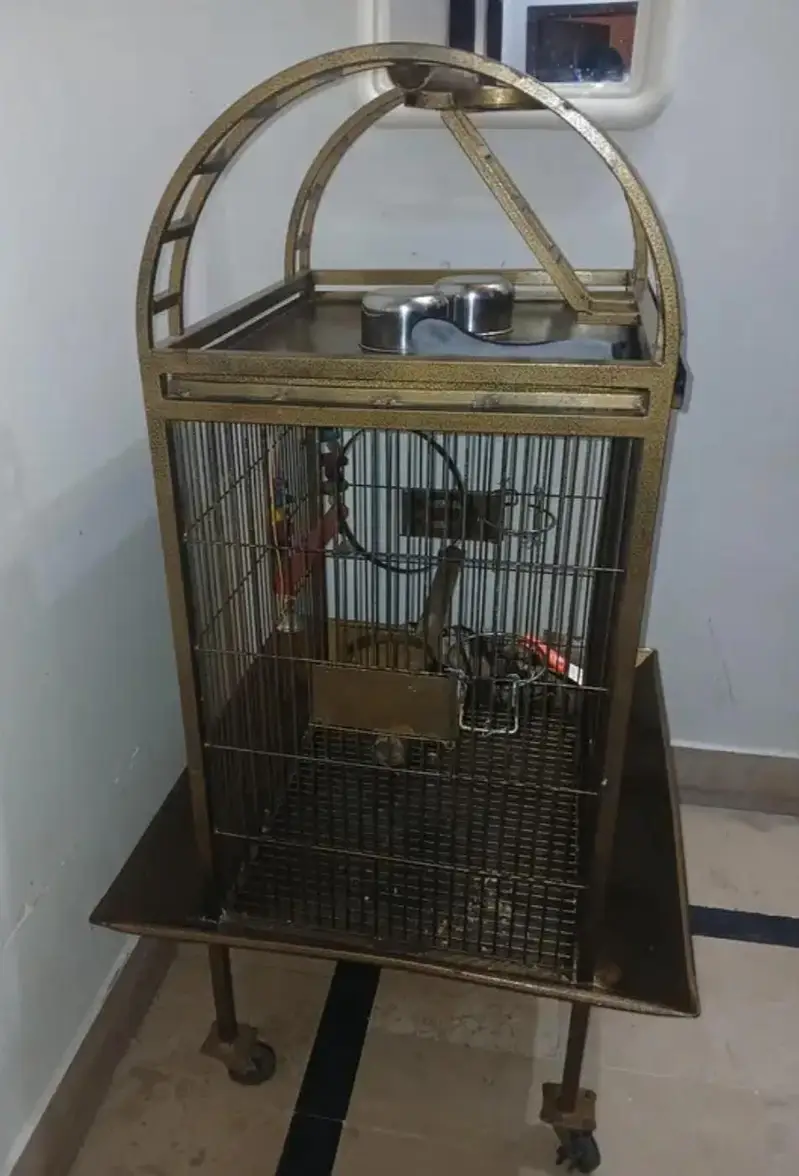 Cages for parrots — photo 4