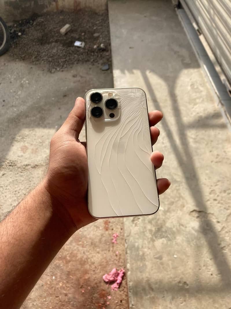 Apple iPhone 13 Pro 0