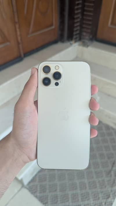 Apple iPhone 12 Pro Max