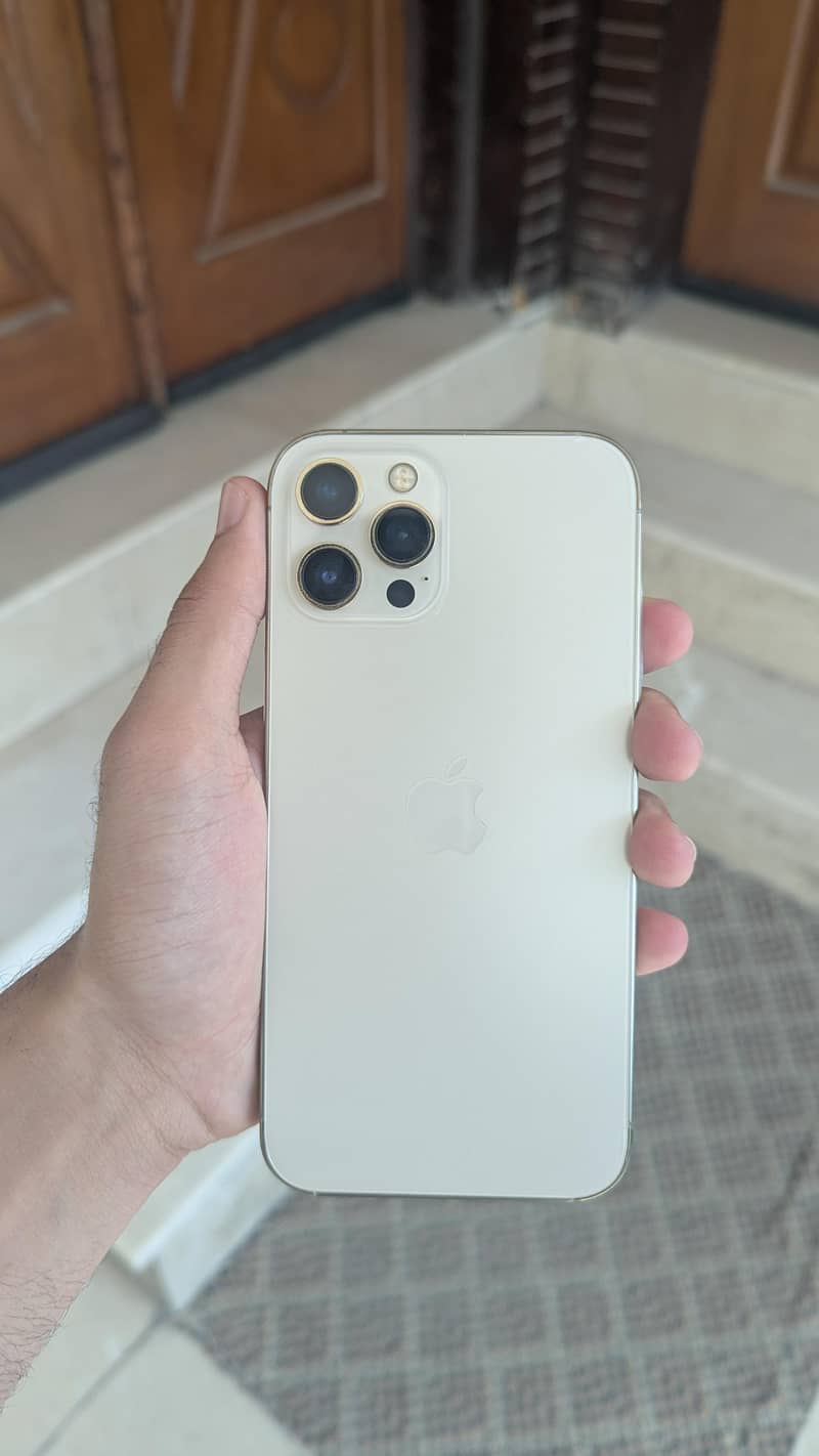Apple iPhone 12 Pro Max 0