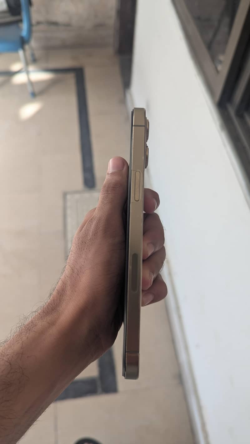 Apple iPhone 12 Pro Max 2