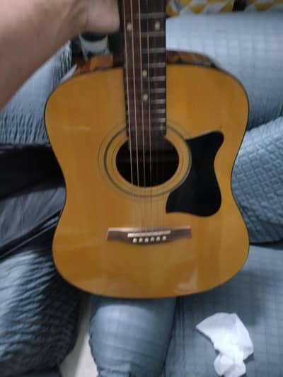 Ibanez & Azalea Semi Acoustic