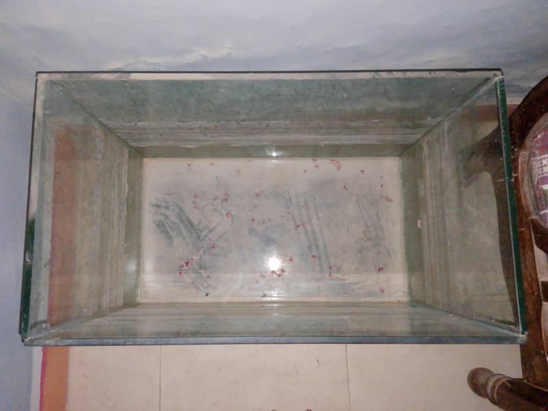 Aquarium 0