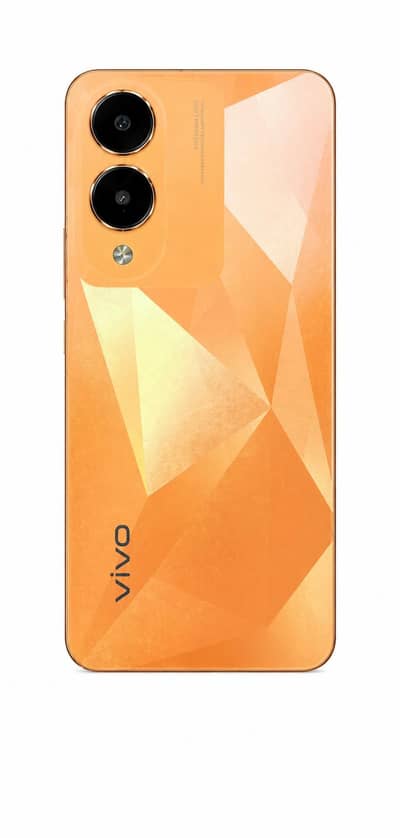 Vivo Y17s Used
