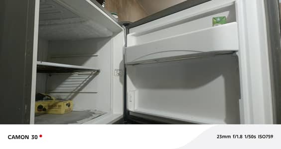 dowlane full size fridge