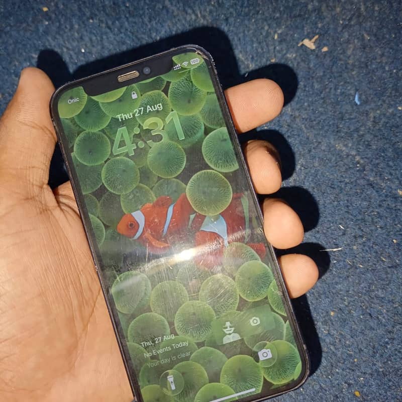 Apple iPhone 12 mini 6