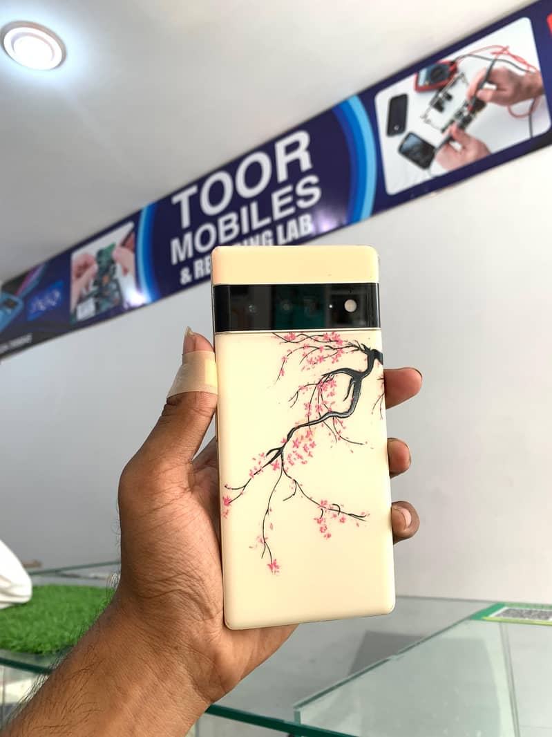 Google Pixel 6 Pro 1