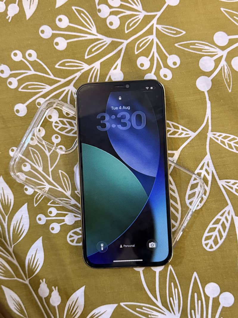 Apple iPhone 12 Pro Max 0