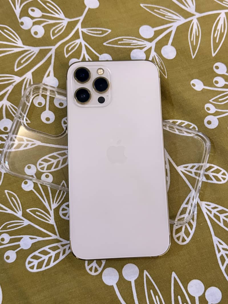 Apple iPhone 12 Pro Max 1