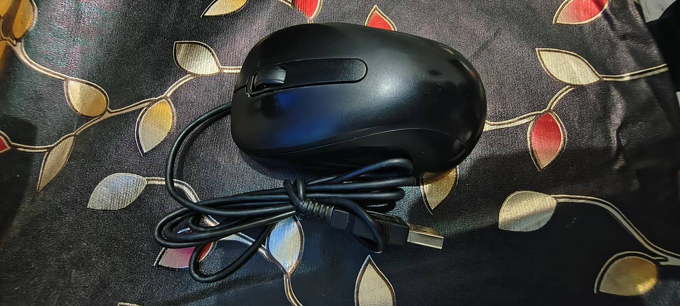 Computer mouse 0