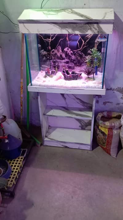 Feet Fish Aquarium Tank for Sale – Excellent Condition