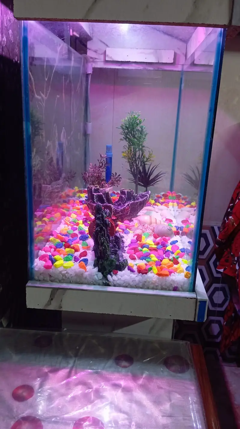 Feet Fish Aquarium Tank for Sale – Excellent Condition — photo 2