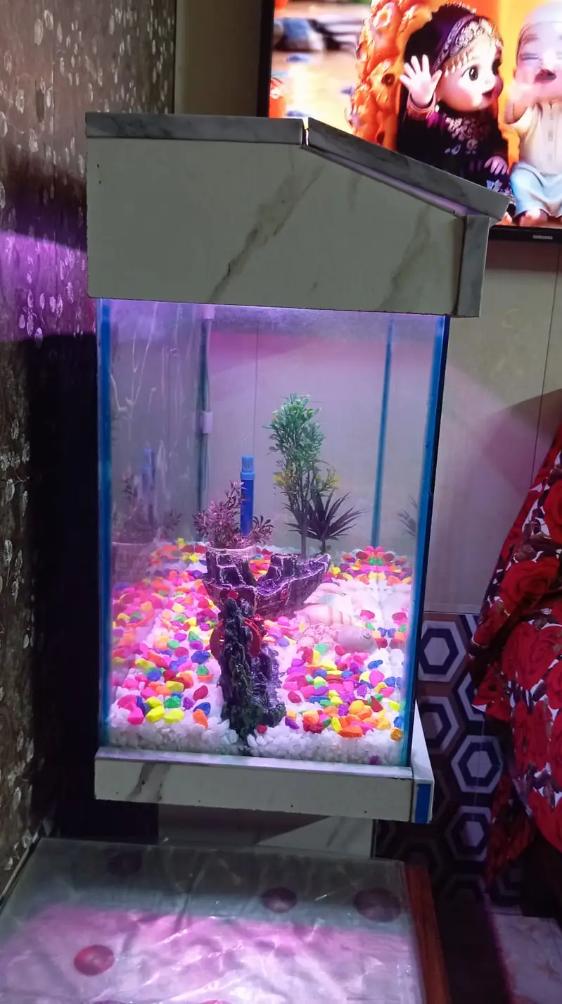 Feet Fish Aquarium Tank for Sale – Excellent Condition — photo 3