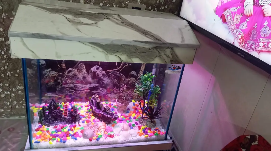 Feet Fish Aquarium Tank for Sale – Excellent Condition — photo 4