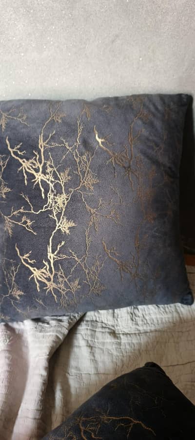 sofa cushion