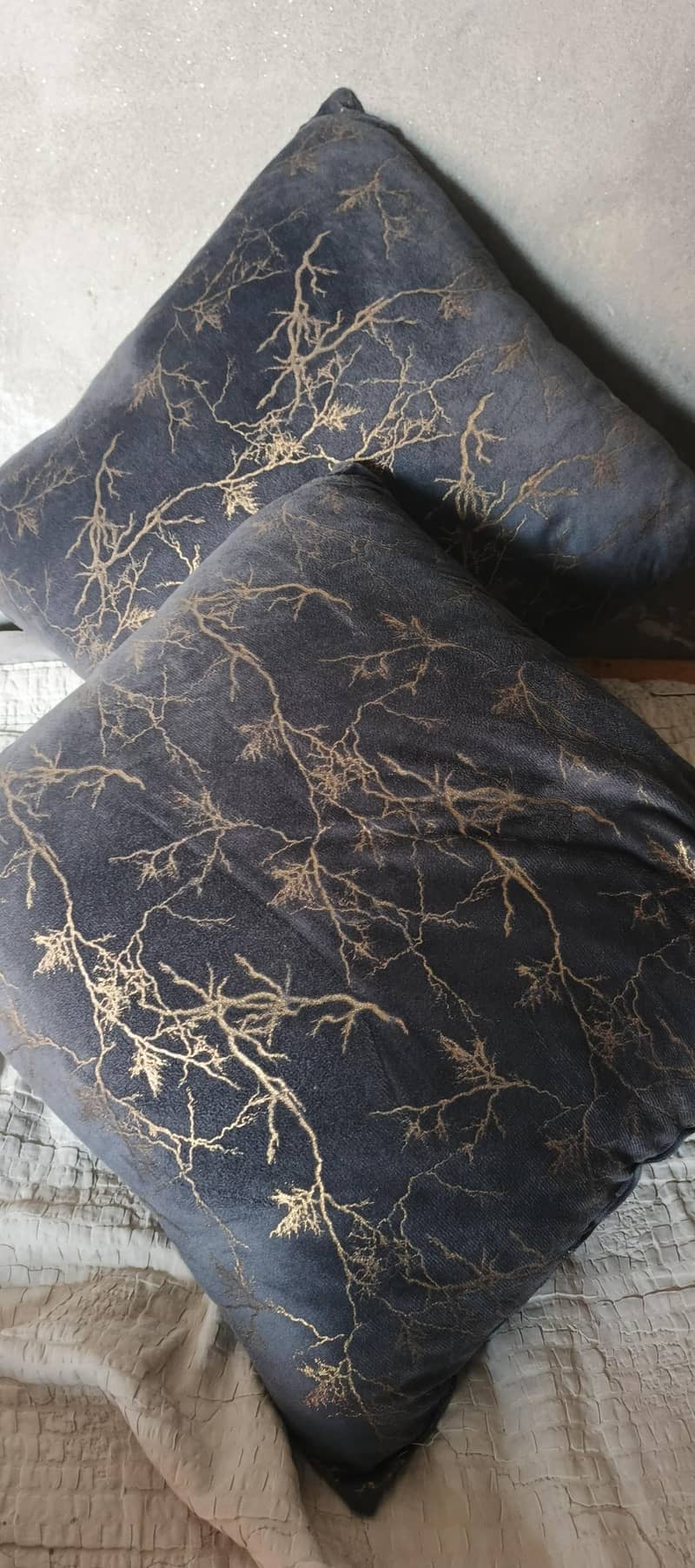 sofa cushion 1