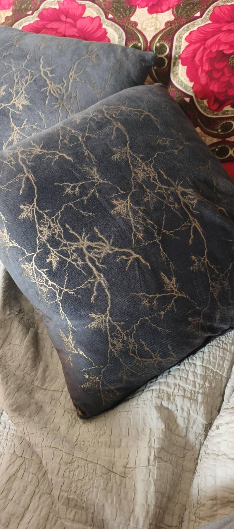 sofa cushion 2