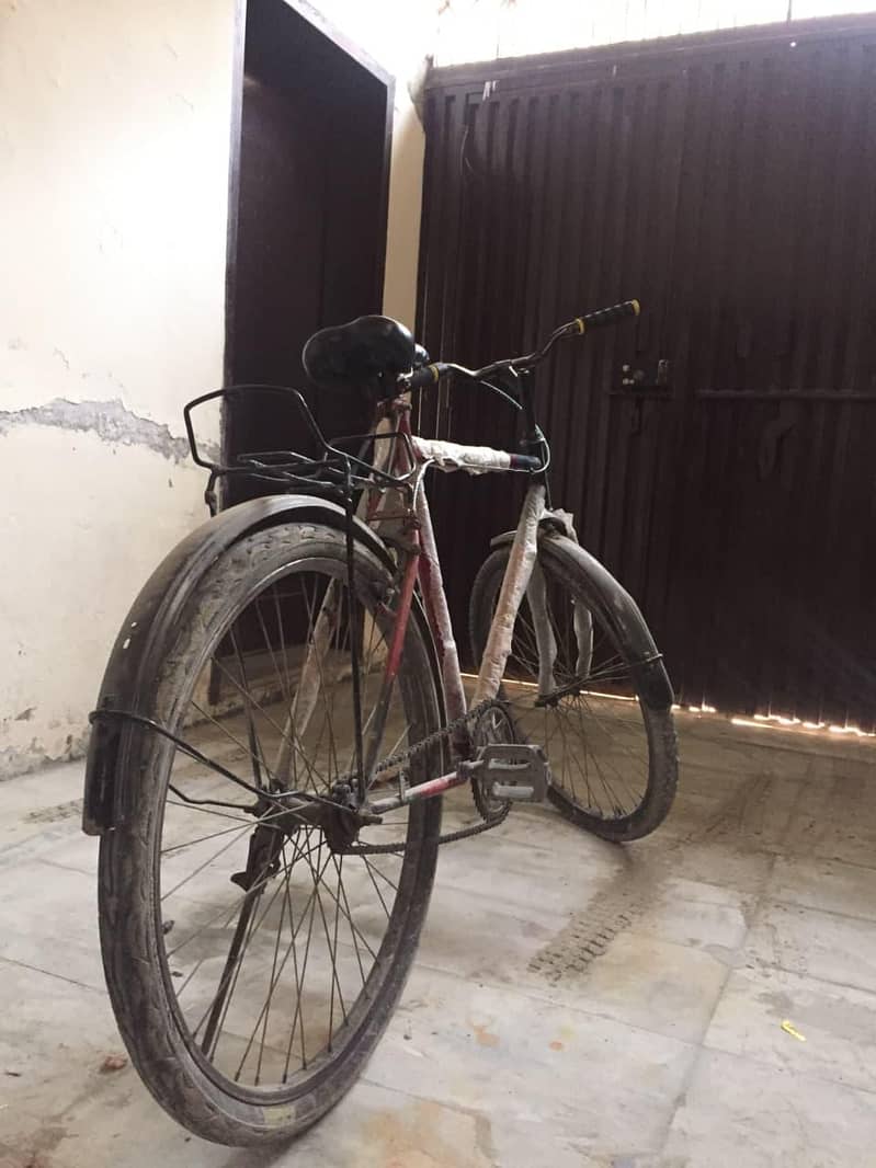 phoenix cycle 0