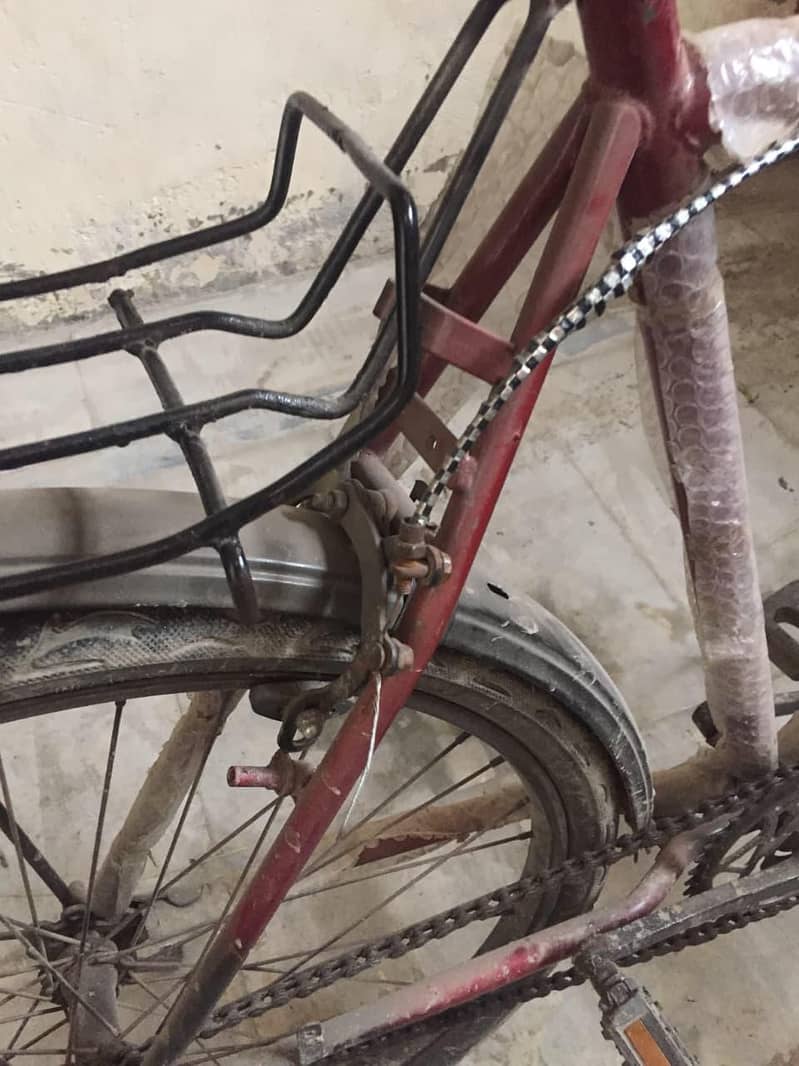 phoenix cycle 2
