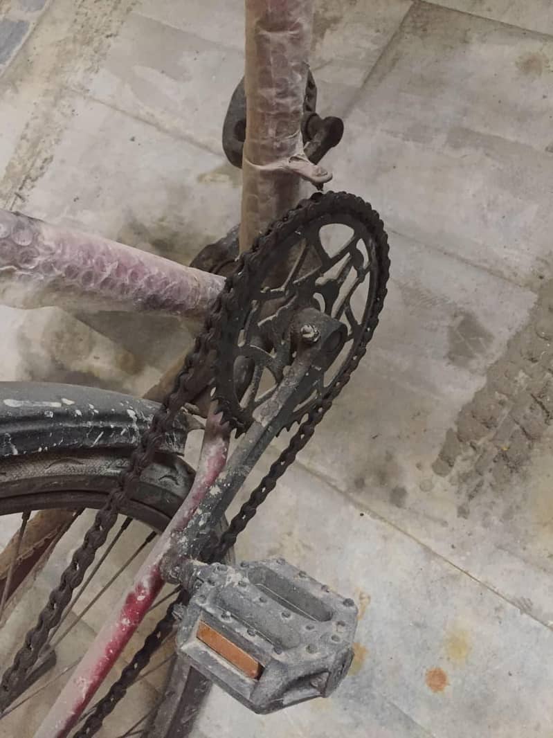phoenix cycle 4