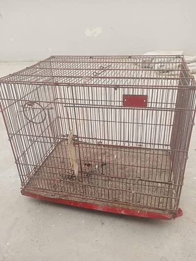Birds cage