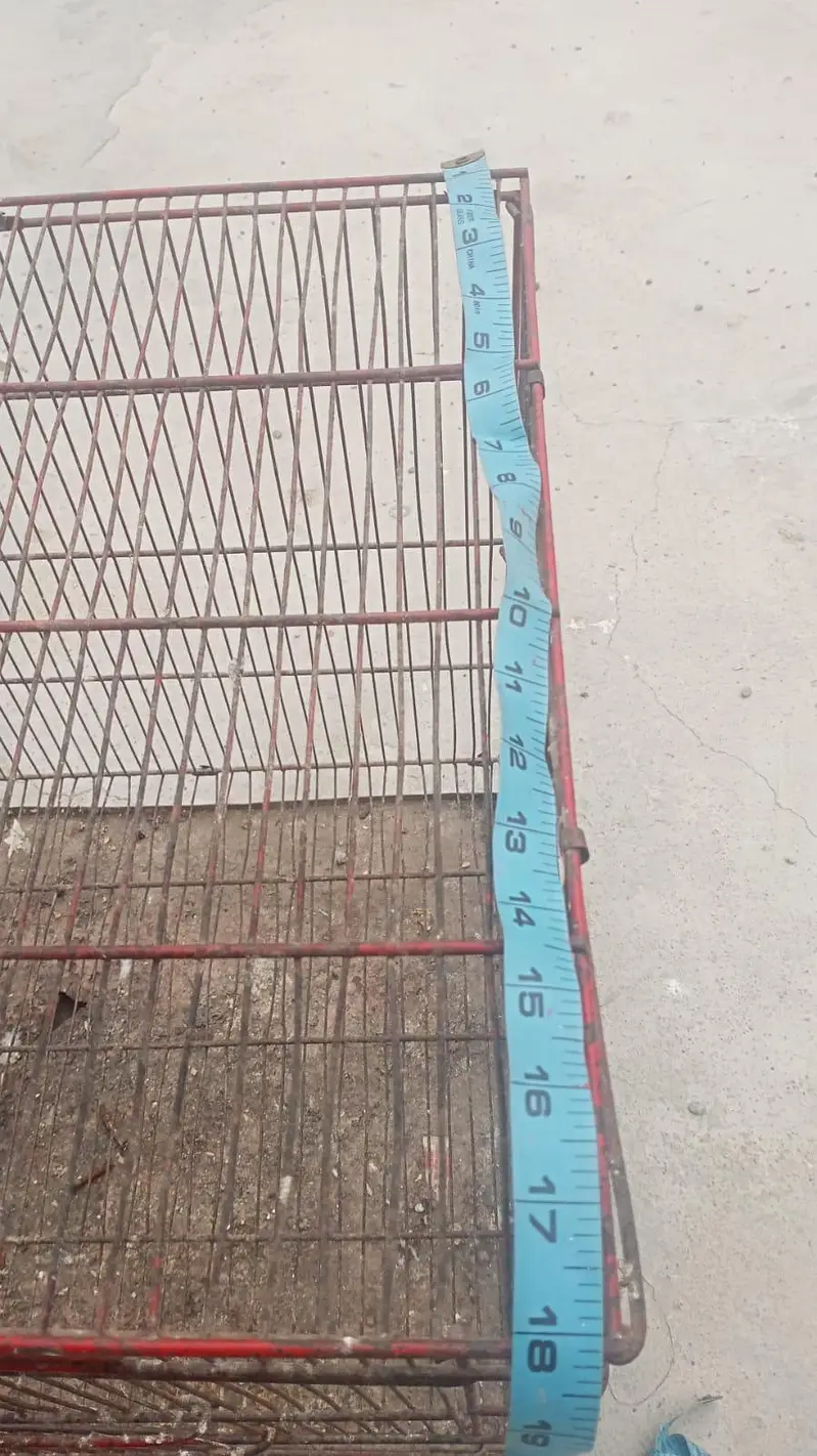 Birds cage — photo 4
