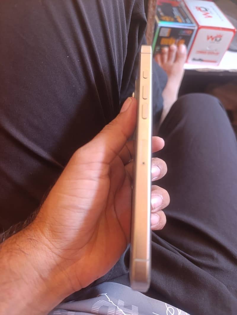 Apple iPhone 16 Pro Max 1