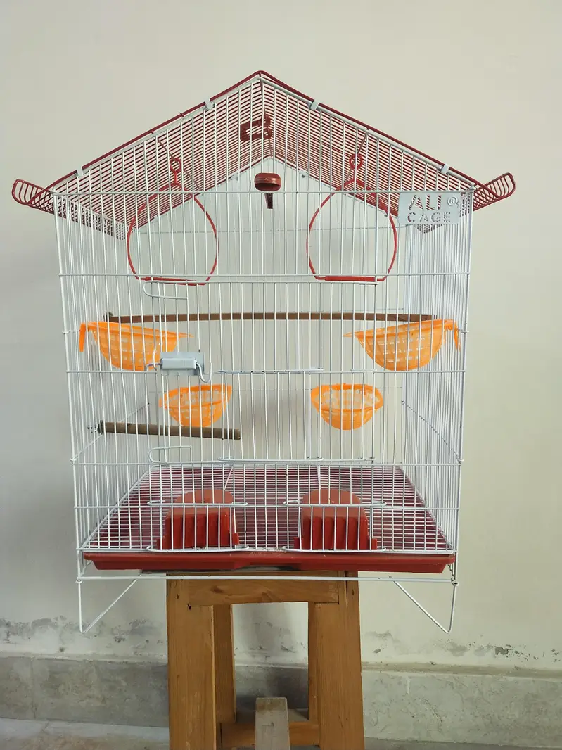 cage for all type of bitds.