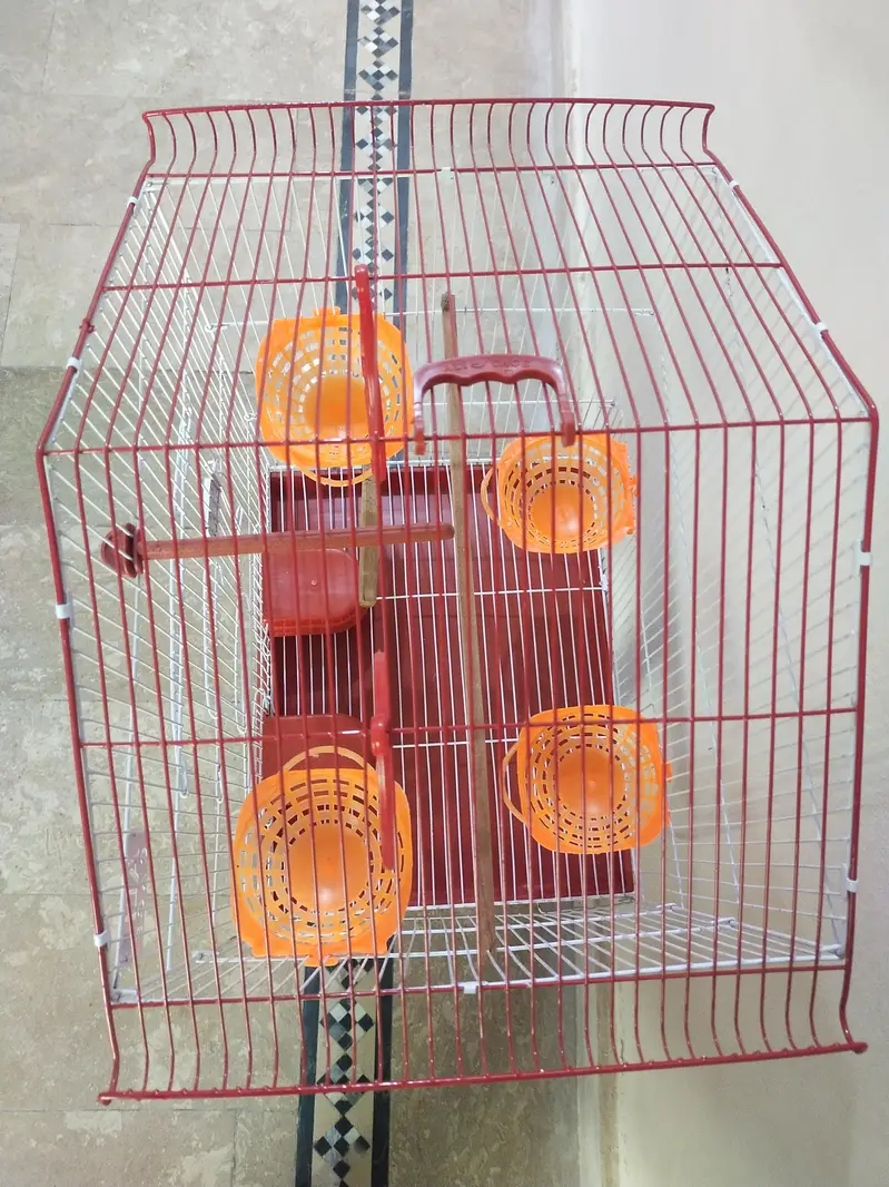 cage for all type of bitds. — photo 2